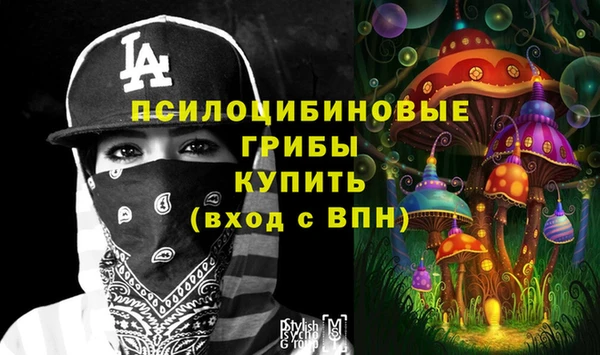 индика Алексеевка